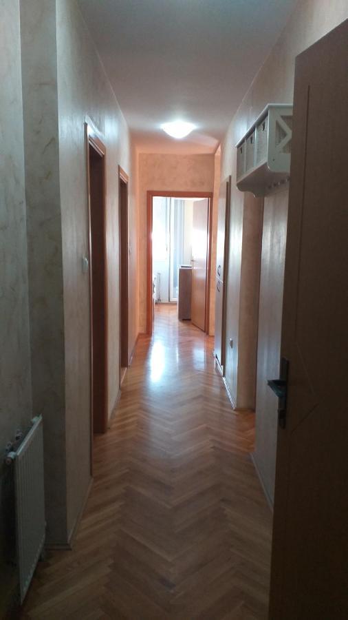 Apartman Anja Novi Sad Extérieur photo